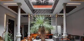 Inner courtyard in hotel with open skylight and palm growing in center of room