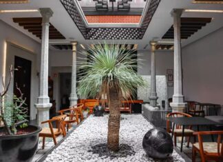 Inner courtyard in hotel with open skylight and palm growing in center of room