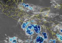 Tropical Storm Erick was located almost 700 km off the coast of Guerrero on Tuesday morning and is expected to become a hurricane by tonight or early Wednesday.