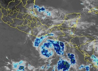 Tropical Storm Erick was located almost 700 km off the coast of Guerrero on Tuesday morning and is expected to become a hurricane by tonight or early Wednesday.