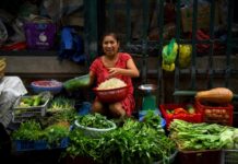 Woman vendor sells groceries at a market