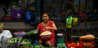 Woman vendor sells groceries at a market