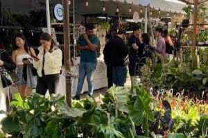 Plant Fest CDMX 2025: el bazar para los amantes de las plantas y flores Plant Fest CDMX 2025: el bazar para los amantes de las plantas y flores