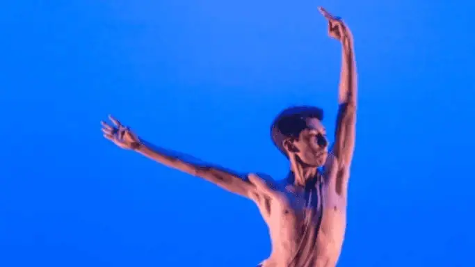 Encuentro Bienal 2025: Sociedad Mexicana de Maestros de Danza A.C.