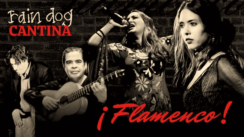 Flamenco at Raindog Cantina!