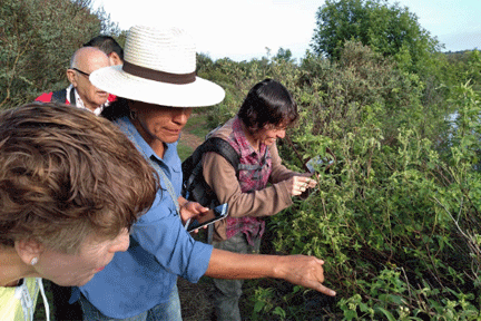 Guided Tours of El Charco del Ingenio Botanical Garden – June 24, 2025 Guided Tours of El Charco del Ingenio Botanical Garden – June 24, 2025