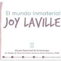 El mundo inmaterial. Joy Laville El mundo inmaterial. Joy Laville