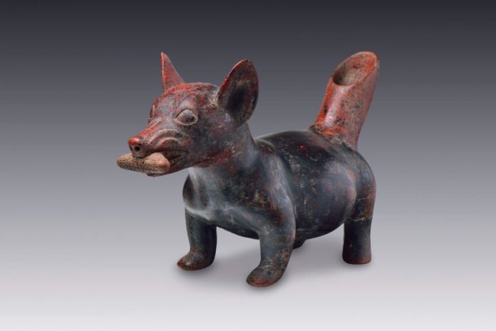A statue of a dog from one of Pueblas museums