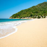 A pristine, empty beach with gentle waves coming in from the Pacific Ocean in Yelapa, Jalisco. In the background is a palm-tree-covered mountain.
