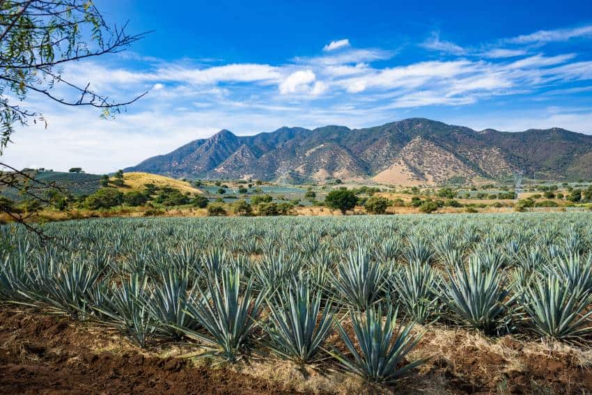 The stunning and the mysterious sights of western Mexico’s highlands