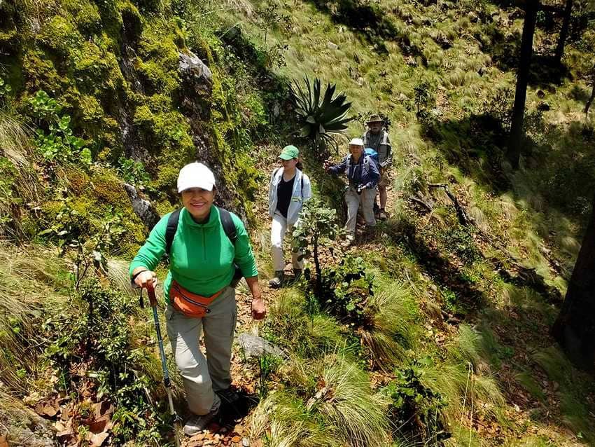 Hikers on Tequila volcano