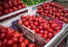 tomato tariff mexico