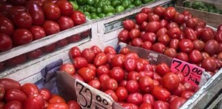 tomato tariff mexico