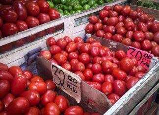 tomato tariff mexico
