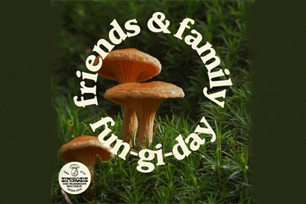 Mushroom Hunting Tour