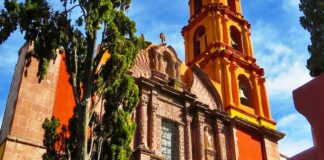 Close-up of a historic church in San Miguel de Allende, showcasing its distinctive orange and yellow colors, ornate facade, and bell tower, with a cypress tree in the foreground.