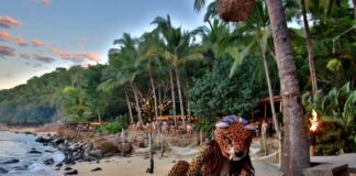 A woman in jaguar mask sitting on a beach