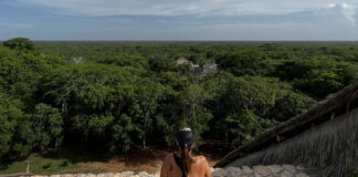 A person with their back to the camera sits on a stone edge, looking out over a vast, dense green jungle canopy that stretches to the horizon under a cloudy sky. In the distance, ruins are partially visible above the treetops.