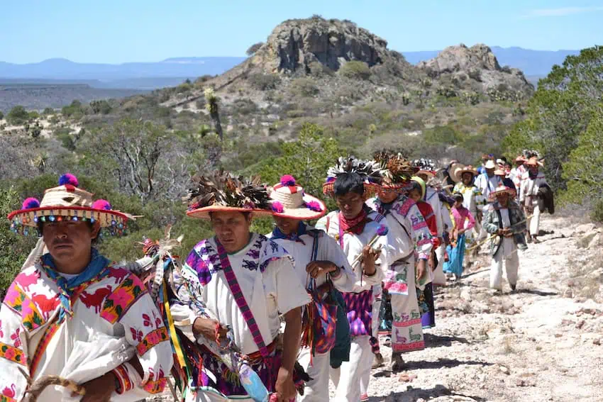The Wixárika Route extends from the western edge of the Sierra Madre Occidental to the Chihuahuan Desert in San Luis Potosí.