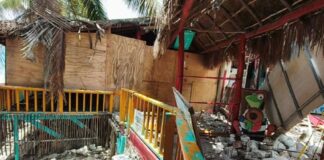 Señor Frog's Playa del Carmen location