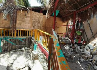 Señor Frog's Playa del Carmen location