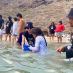 people releasing fish in shallow water