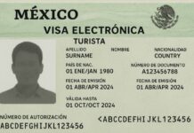 prototype e.visa