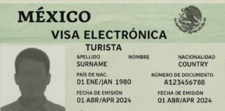 prototype e.visa