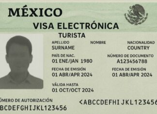 prototype e.visa