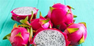 Pitahaya Dragon Fruit