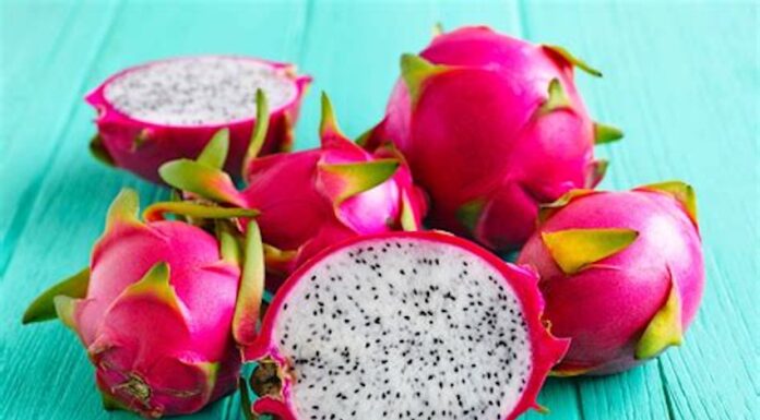 Pitahaya Dragon Fruit