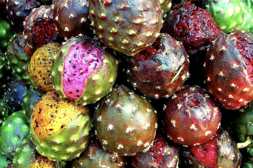 Strange fruit: Mexico’s weird and wonderful natural treats