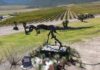 A statue of a dinosaur overlooking a vineyard in Coahuila, Mexico