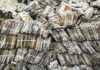 Piles of old newspapers
