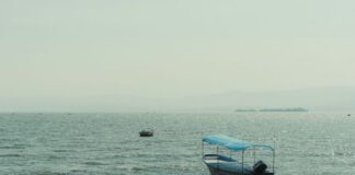 Lake Chapala is currently at 54.63% of its capacity — a 14 percentage-point improvement over July 21, 2024.