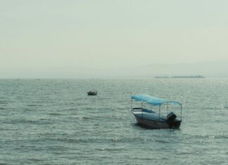 Lake Chapala is currently at 54.63% of its capacity — a 14 percentage-point improvement over July 21, 2024.