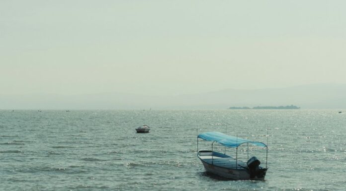 Lake Chapala is currently at 54.63% of its capacity — a 14 percentage-point improvement over July 21, 2024.
