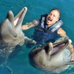 A man swimming with two dolphins at Delfiniti Ixtapa dolphinarium
