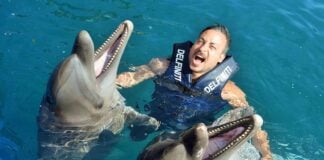 A man swimming with two dolphins at Delfiniti Ixtapa dolphinarium