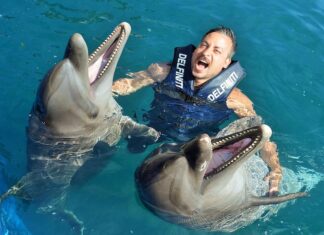 A man swimming with two dolphins at Delfiniti Ixtapa dolphinarium