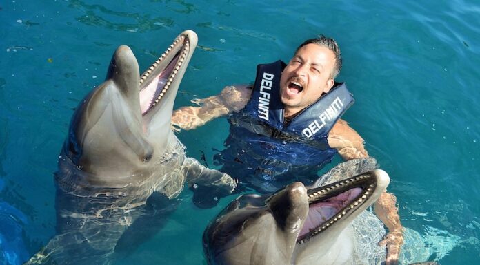 A man swimming with two dolphins at Delfiniti Ixtapa dolphinarium