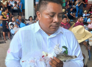 Man in white shirtholding a caiman