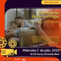 El despertar de las hormigas El despertar de las hormigas