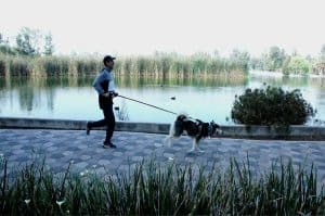 Lomitos en Acción 5K: Corre, trota o camina con tu perrhijo en esta carrera de CDMX Lomitos en Acción 5K: Corre, trota o camina con tu perrhijo en esta carrera de CDMX