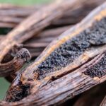 Charred vanilla pods