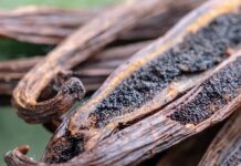 Charred vanilla pods