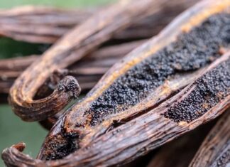 Charred vanilla pods
