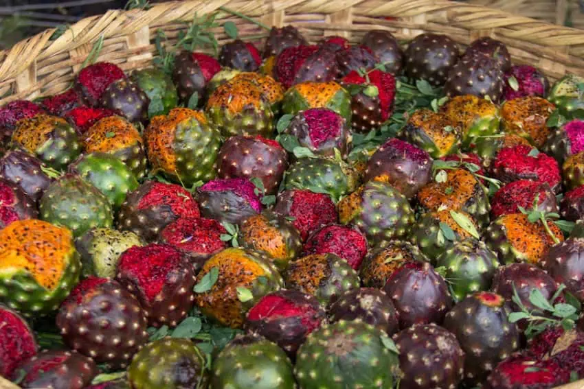 Mexican pitaya colorful fruit