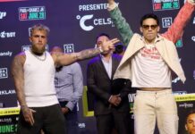 Jake Paul points at boxer Julio César Chávez Jr