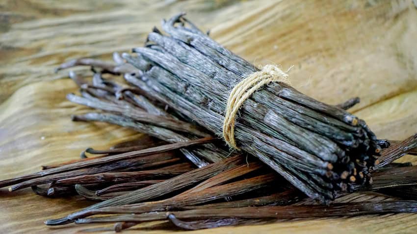 A bundle of dried vanilla